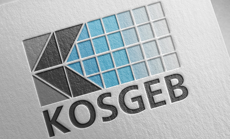 KOSGEB ileri girişimci desteği.