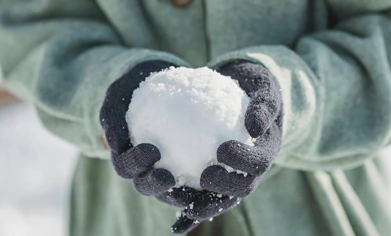 Snowball yöntemi nedir?